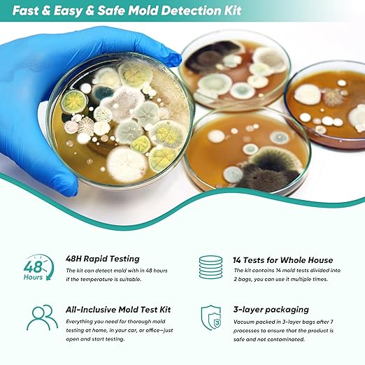 Mold Test Kit for Home, 14 Simple Mold Detectors with Detailed Mold Identification Guide, DIY Mold Testing Kit for Home Surfaces & Indoor Air Quality & HVAC & Car, Results in 48 Hours, 14PCS