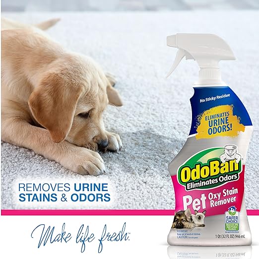 OdoBan Pet Solutions No Rinse Neutral pH Floor Cleaner Concentrate, Made in the USA, 1 Gallon, and Oxy Stain Remover, 32 Ounce Spray