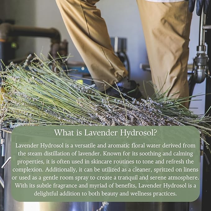 Natural All Surface Multi-Purpose Cleaning Spray - Made in the USA with Lavender Hydrosol, Lemon & Eucalyptus Essential Oils, Ideal for Kitchen, Bathroom, Windows, Stainless Steel Surfaces, 18.5oz