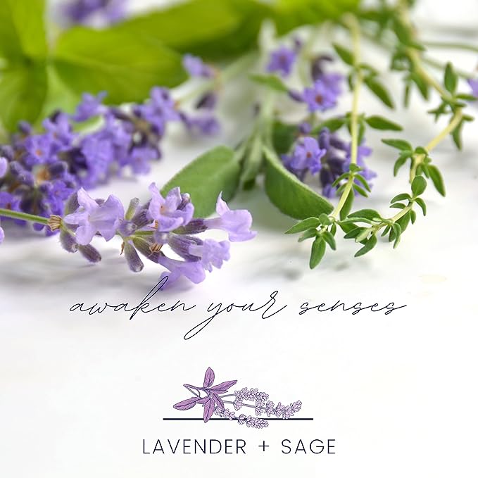 Color Scents Small Trash Bags - 4 Gallon, 480 Total Bags (8 Packs of 60 Count), Twist Tie - Lavender Bag in Lavender Scent