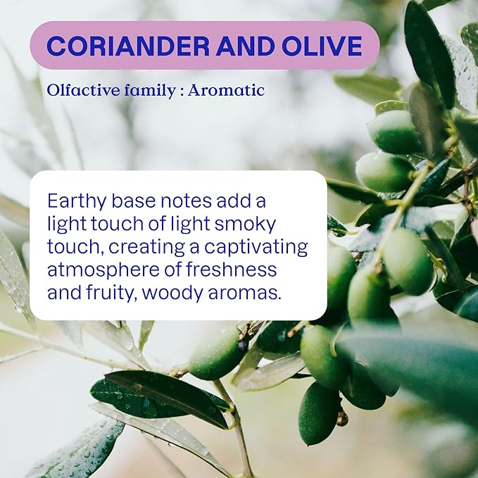 ATTITUDE Dish Soap Refill, EWG Verified, Plant-Based & Vegan Dishwashing Liquid, Naturally Derived, Olive & Coriander Scent, 135.3 Fl Oz