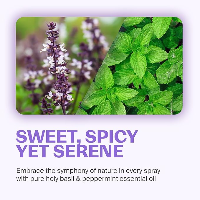 Fuwa3e Pineapple Enzyme Natural All Purpose Cleaner Spray Serene Holy Basil & Peppermint - 16.9oz 1 Pack - Non Toxic Multi Surface 99% Plant Based Cleaner from Discarded Pineapple Peels