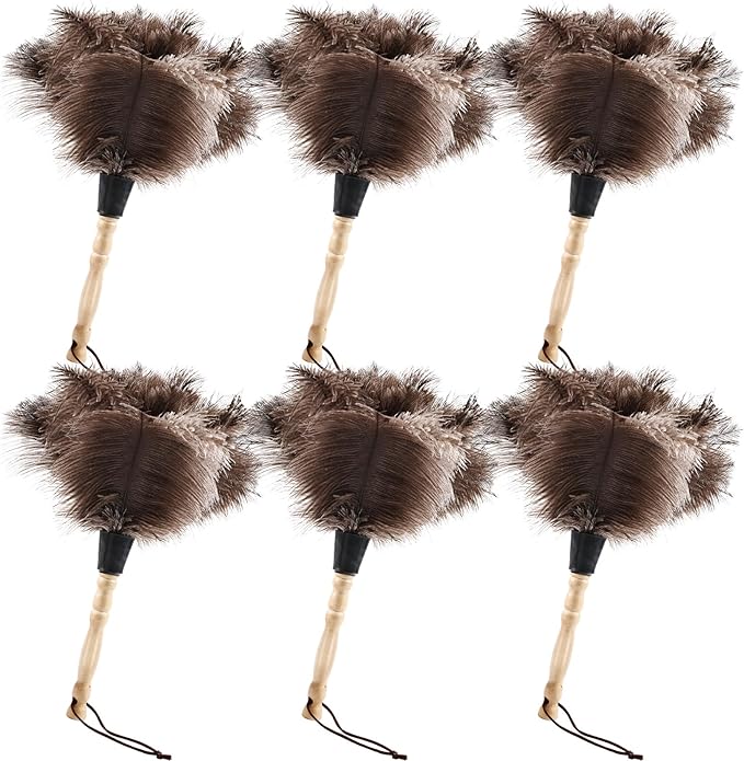 Ostrich Feather Duster 14" Natural Handheld Reusable Feathers Dusters with Wooden Handle for Cleaning Supplies Home Car Office(6PCS)