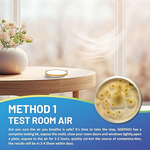 Mold Test Kit for Home,7 Simple Detection Tests,Test HVAC System,Home Surfaces, Indoor Air Quality Testing,DIY Mold Detector for Home,Includes Detailed Mold Identification Guide,Black Mold Testing kit