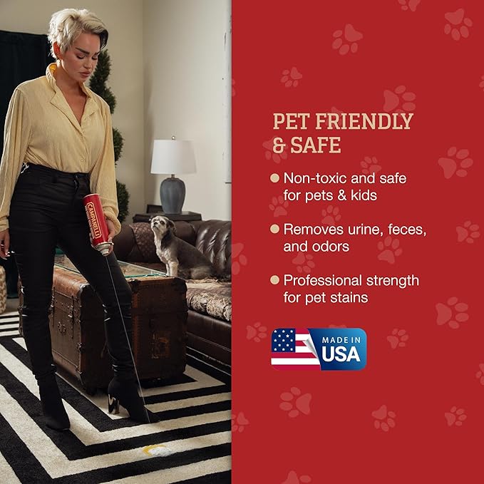 Campanelli Pro Series Stain Remover - 18oz Aerosol - Point & Spray Carpet Cleaner, Spot Remover, Great For Pet Stains & Odors, Upholstery, Fabrics, & More