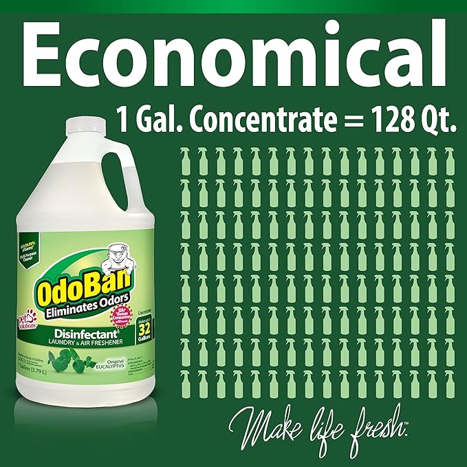 OdoBan Disinfectant Concentrate and Odor Eliminator, Made in the USA, Original Eucalyptus Scent, 1 Gallon