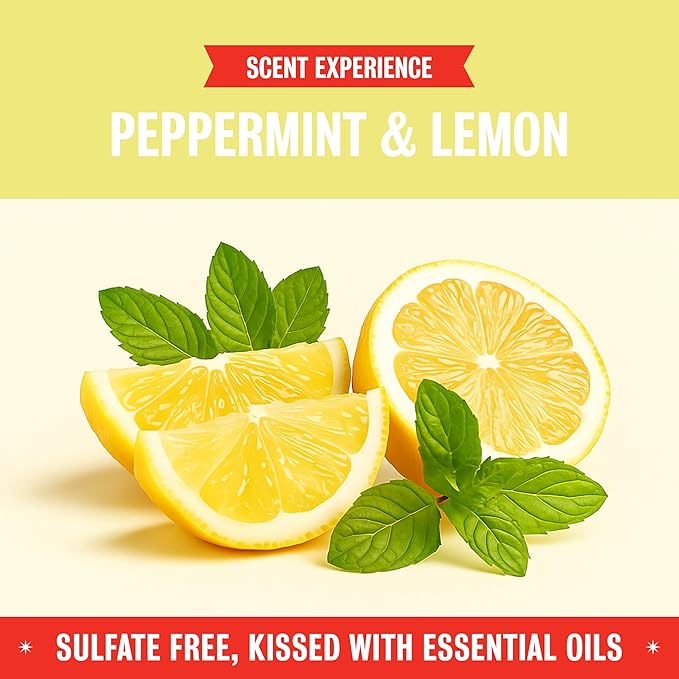 Rebel Green Organic Laundry Detergent - Natural Laundry Soap - Liquid Laundry Detergent with Dispenser Cup - Gentle Laundry Detergent - Fresh Peppermint & Lemon Scent - (68 Load Bottles, 2 Pack)