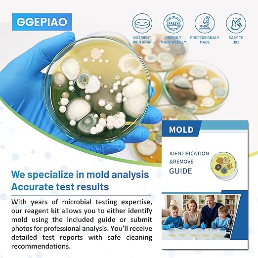 Mold Test Kit for Home,7 Simple Detection Tests,Test HVAC System,Home Surfaces, Indoor Air Quality Testing,DIY Mold Detector for Home,Includes Detailed Mold Identification Guide,Black Mold Testing kit