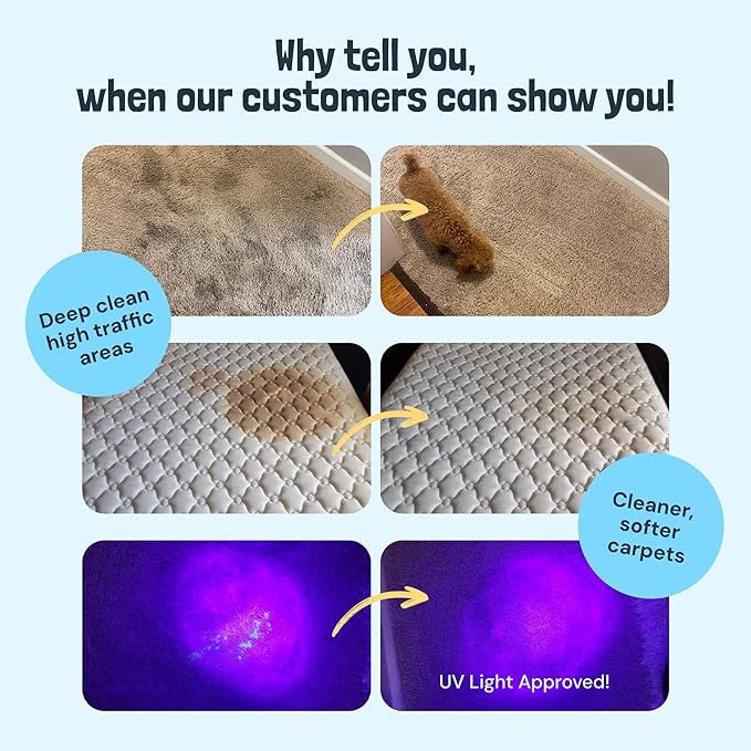 Sunny & Honey Carpet Cleaner Solution - 128 Fl Oz, Fresh Summer Scent - Deep Stain Remover & Deodorizer - Pet & Rug Cleaner - Upholstery Cleaning for Machine Use