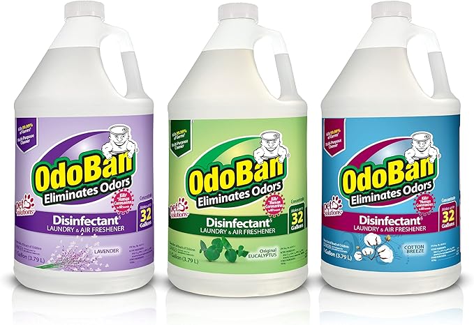 OdoBan Disinfectant Concentrate and Odor Eliminator, Made in the USA, Original Eucalyptus, Lavender and Cotton Breeze Scents, 3 Gallons