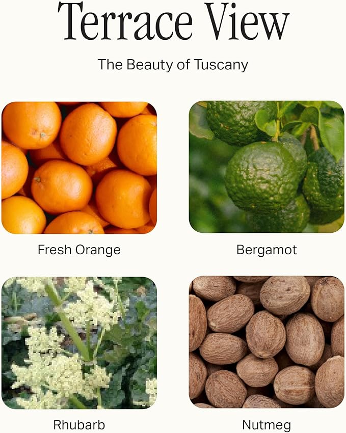 Preston Lane Signature Set, Includes All Purpose Cleaner, Dish Soap, Hand Wash, Hand Cream, & Scented Candle, Terrace View