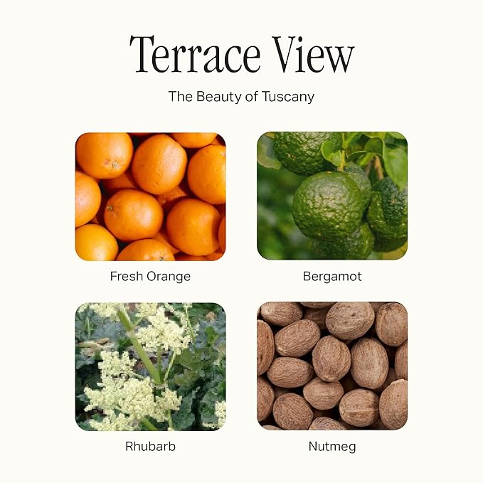 Preston Lane Kitchen Set, Hand Wash, Dish Soap & All Purpose Cleaner, Cleaning Essentials Bundle