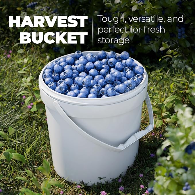 EconoHome 1 Gallon Food Grade Round Plastic Bucket - Food Storage Deli Containers with Lids Ideal for Ice Cream, Soup, and Prep Containers - BPA-Free - 5 Pack