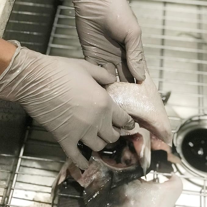 Disposable Gloves - Food Safe, Lite Duty Nitrile Gloves, Lite & Tough, (250 Count)