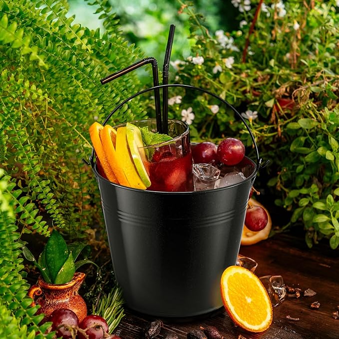 Rtteri 24 Pcs Small Metal Buckets with Handle Mini Buckets Bulk for Easter Party Favors Classroom Pencil Holder Flower Pot Plant Basket for Crafts DIY Projects, 6 x 5 Inch(Black)