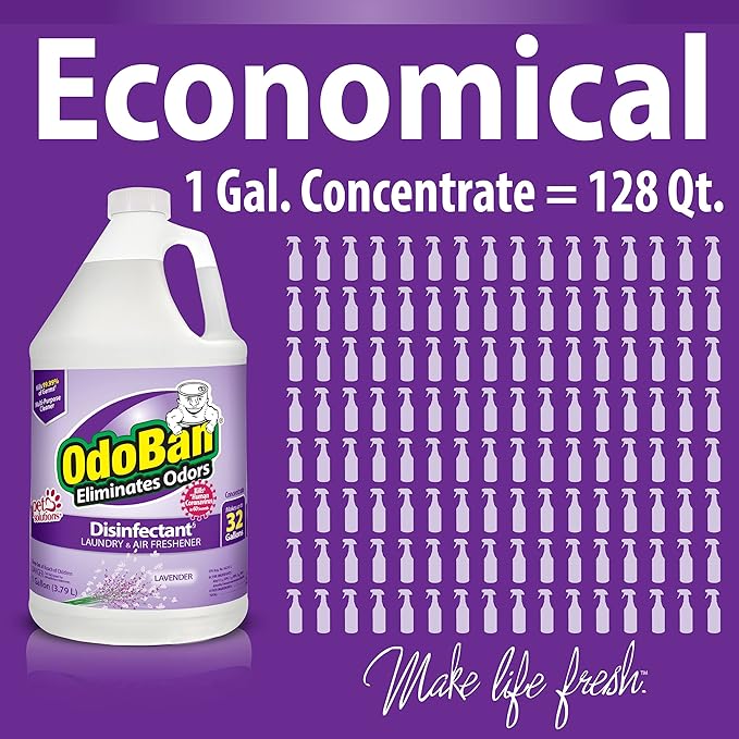 OdoBan Ready-to-Use Disinfectant and Odor Eliminator, Made in the USA, Lavender Scent, Set of 3, 2 Spray Bottles, 32 Ounces Each and 1 Gallon Concentrate