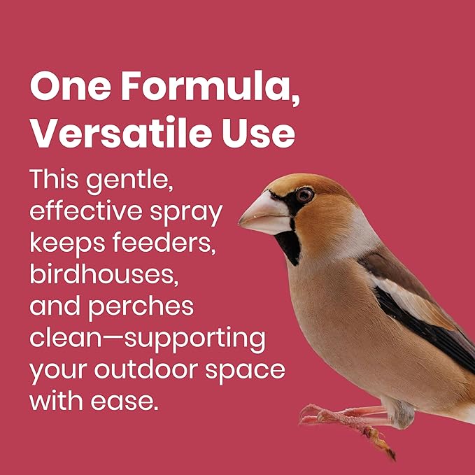 Clean Republic Good Salt Pet Bird Feeder & Bird House Protectant, Natural Bird-Friendly Spray Formula, Made in the USA, 32 Ounce Bottle