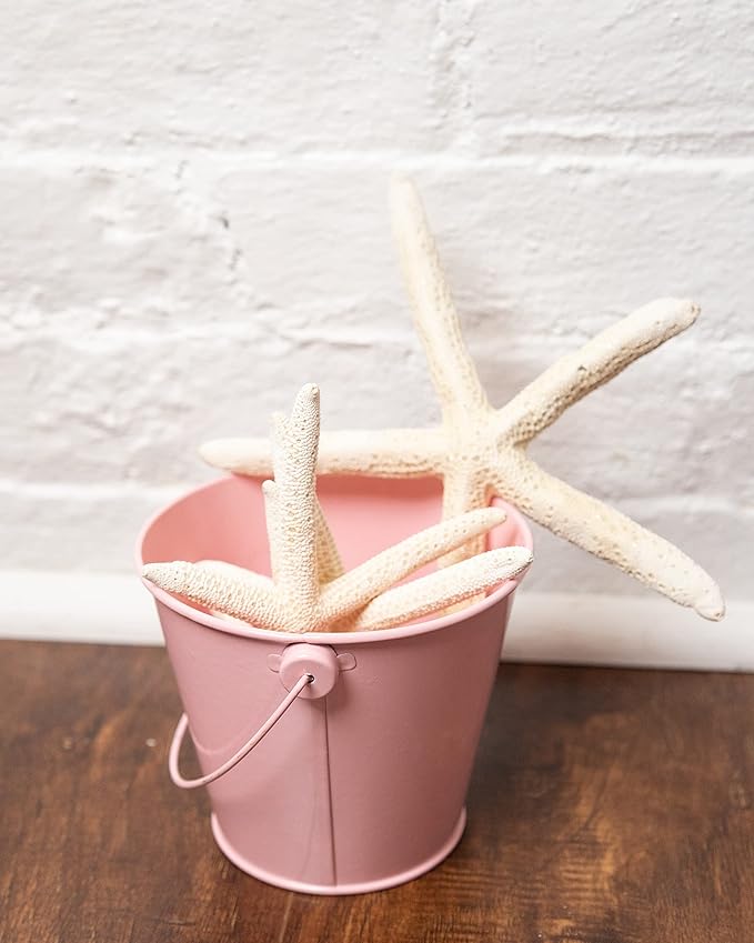 Small Metal Buckets with Handles - Leak-Proof Metal Pail Bucket - Galvanized Bucket with Handle - Multipurpose Tin Bucket for Party Favors, Organization, School, Weddings, Garden - Set of 6, Pink