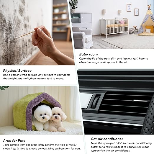 Mold Test Kit for Home, 14 Simple Mold Detectors with Detailed Mold Identification Guide, DIY Mold Testing Kit for Home Surfaces & Indoor Air Quality & HVAC & Car, Results in 48 Hours, 14PCS