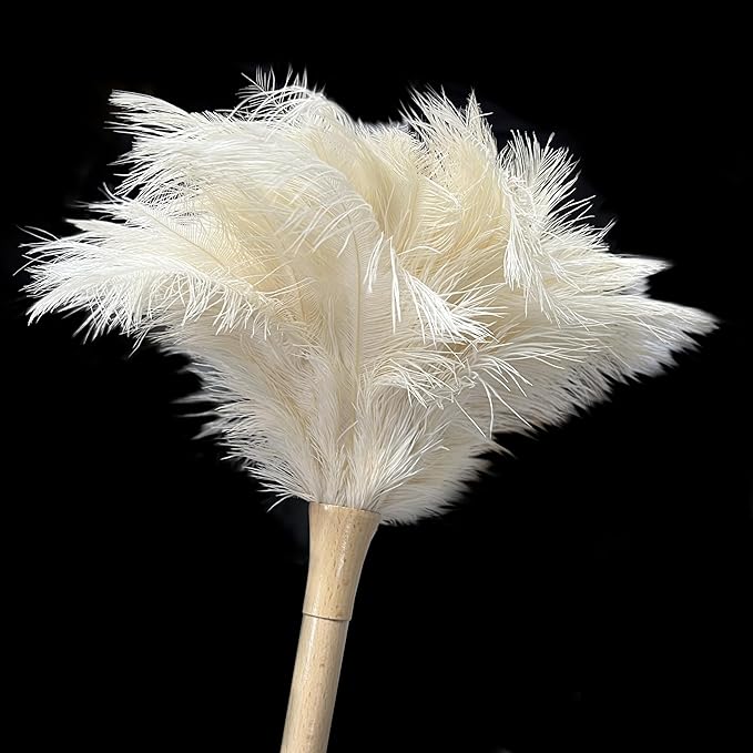 19.7 Inch Ostrich Feather Duster – Soft Dusting Brush for Home, Office, and Furniture Cleaning (Off White)