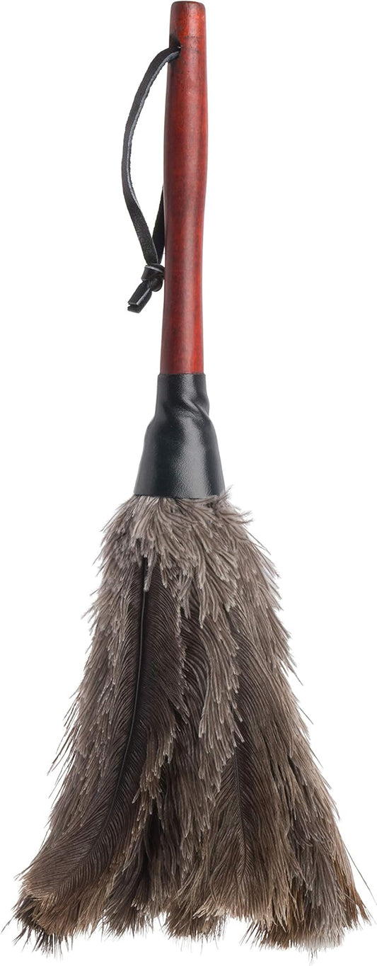 Redecker Ostrich Feather Duster with Varnished Wooden Handle, Small, 13-3/4-Inches