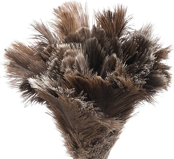 Redecker Ostrich Feather Duster with Varnished Wooden Handle, Small, 13-3/4-Inches
