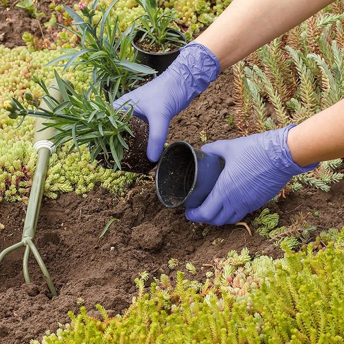 FifthPulse Biodegradable Disposable Nitrile Gloves, 150 Count, Green Food Safe Cooking Gloves - Powder and Latex Free Gloves