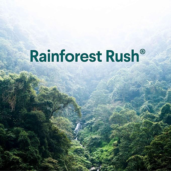 CLOROX ToiletWand, Disinfecting Wand Refill Heads - Rainforest Rush, 10 Count (Package May Vary) (Pack of 6)