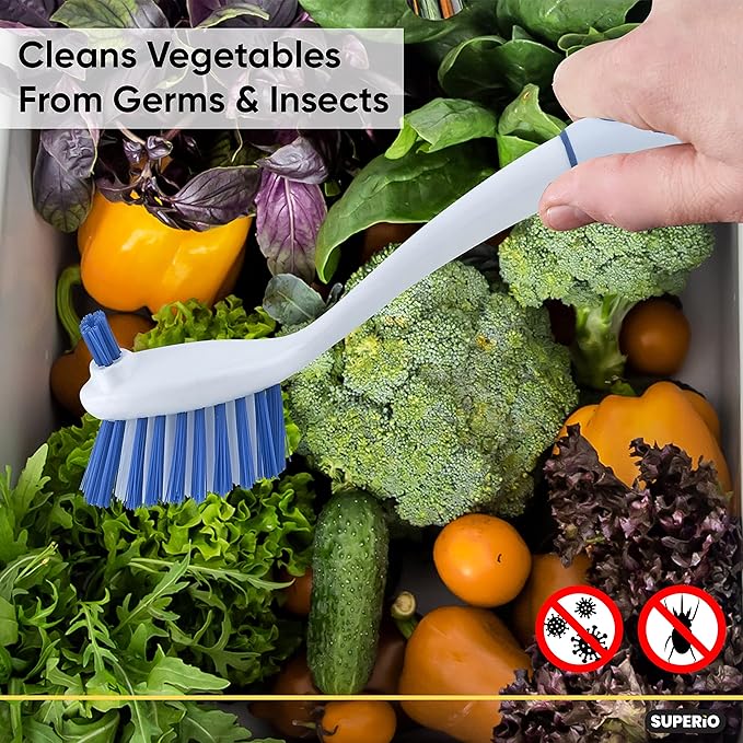 Dish Brush with Handle Vegetable Brush Double Sided Cleaning Brush Scrubber Non Scratch Scrub Brushes Kitchen Brush for Cooking, Foods- Fruits/Potatoes/Veggies, Sinks, Bath-Blue/Red, 2 Pack-Superio