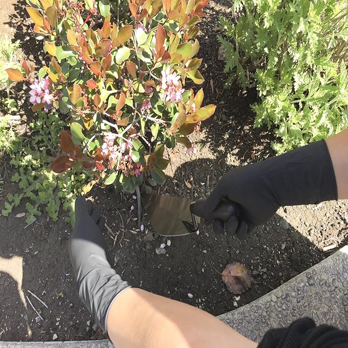 Super soft Disposable Latex Gloves, Powder Free, Exam 12" Length, Medium Duty, 50 Gloves, Size Large.