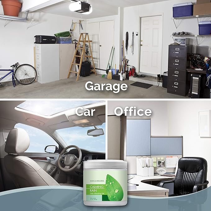 SMELLS BEGONE Air Freshener Odor Absorber Gel - 15 oz, Pack of 2 - Absorbs and Eliminates Odor in Pet Areas, Bathrooms, Cars, & Boats - Made with Essential Oils - Calming Rain Scent