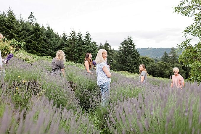 Victoria's Lavender Room Spray - All Natural Home - Pure Essential Oil Concentrated, Air Freshener & Bathroom Odor Eliminator, Luxury Room Spray, Made in the USA, Assorted 4-Pack (1 Fl Oz each)