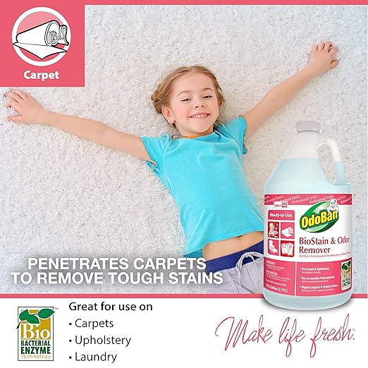 OdoBan Professional Cleaning Neutral pH Floor Cleaner and BioStain and Odor Remover, Made in the USA, 1 Gallon Each
