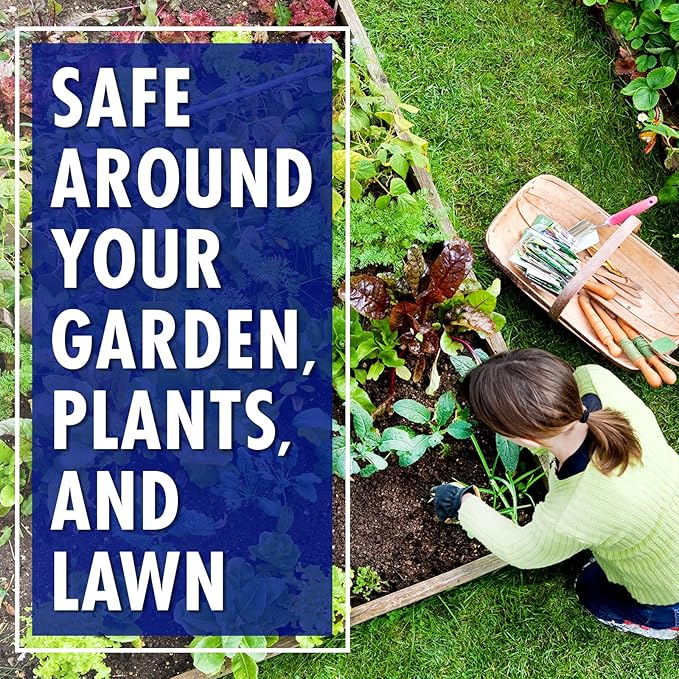 30 SECONDS Mold and Mildew Stain Remover | Ready to Use | Battery Powered Spray Wand | 1.3 Gallon