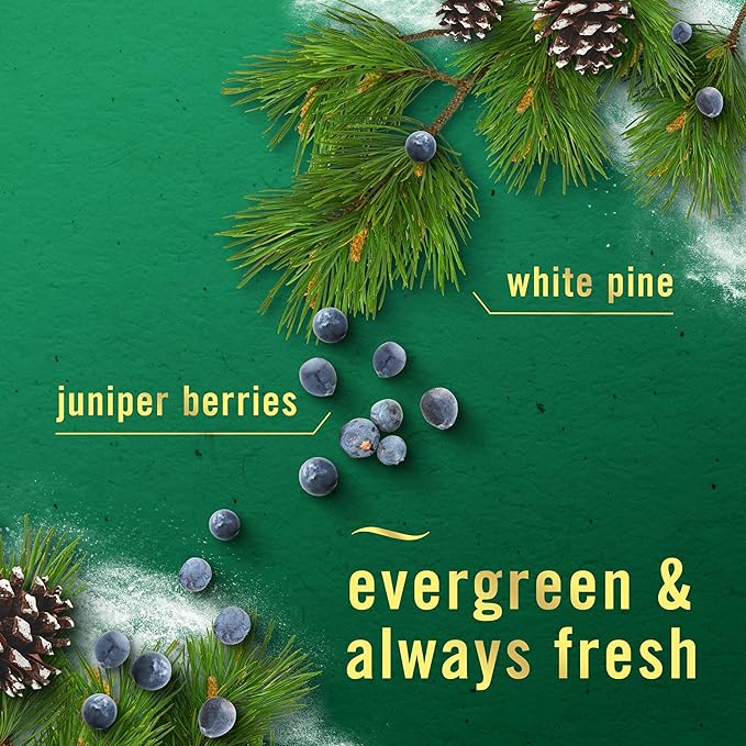 Febreze Plug In Air Freshener Scented Oil Refill Pine & Berry, 4ct