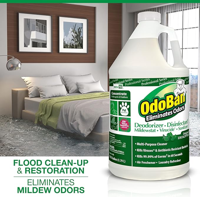 OdoBan Professional Disinfectant and Odor Eliminator Concentrate, 6-Pack, 1 Gallon Each, Original Eucalyptus Scent