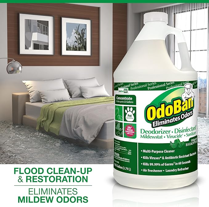 OdoBan Professional Disinfectant and Odor Eliminator Concentrate, Made in the USA, Original Eucalyptus and Lavender Scents, 2-Pack, 1 Gallon Each