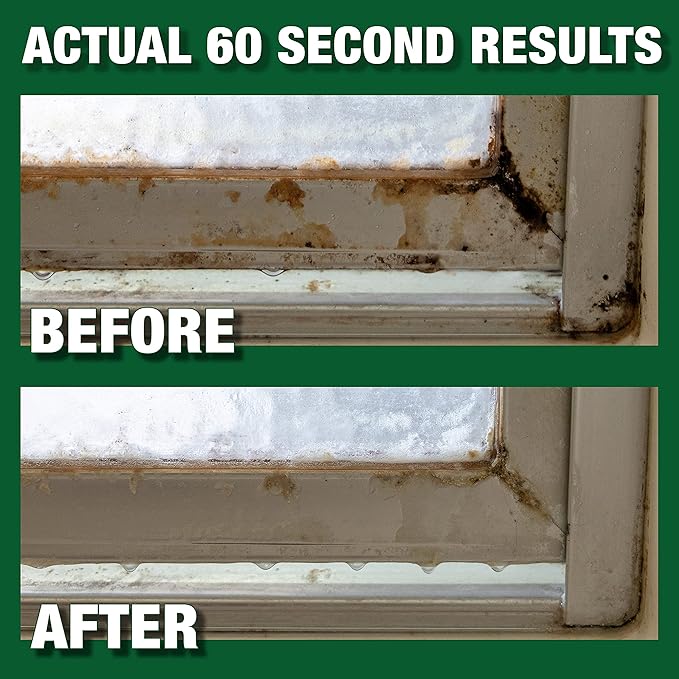 Mold Armor Rapid Clean Remediation, 1 Gallon; Kills, Cleans & Prevents Mold & Mildew