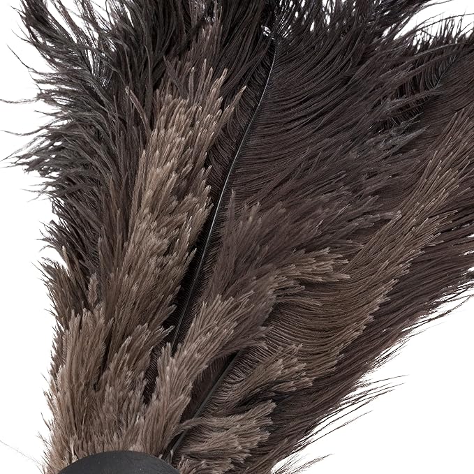 Redecker Ostrich Feather Duster with Varnished Wooden Handle, 19-2/3-Inches, Black