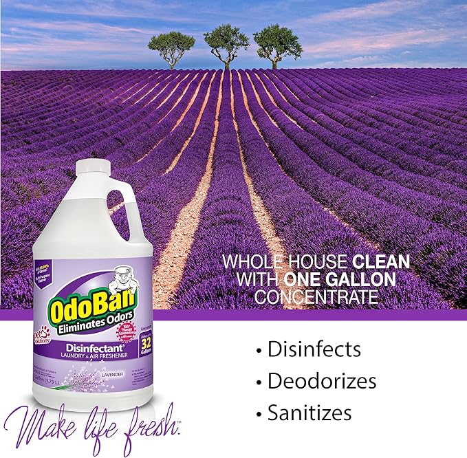 OdoBan Disinfectant Concentrate and Odor Eliminator, Made in the USA, Original Eucalyptus, Lavender and Cotton Breeze Scents, 3 Gallons