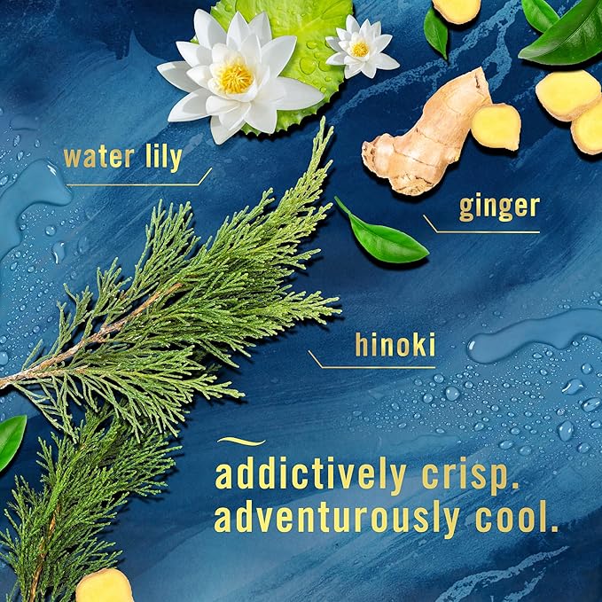 Febreze Air Mist Air Freshener Spray, Odor-Fighting Room Spray, Air Fresheners for Home and Bathroom and Kitchen, Aerosol Can, Ocean Scent, 8.8oz, 3 Count