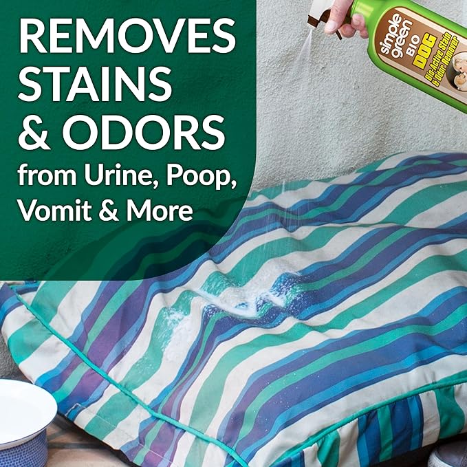 Simple Green Bio Dog Active Stain & Odor Remover - Enzyme Cleaner & Stain Remover for Carpet, Rugs & Fabric – eliminates Urine Odor (32 oz Spray & 1 gal Refill)
