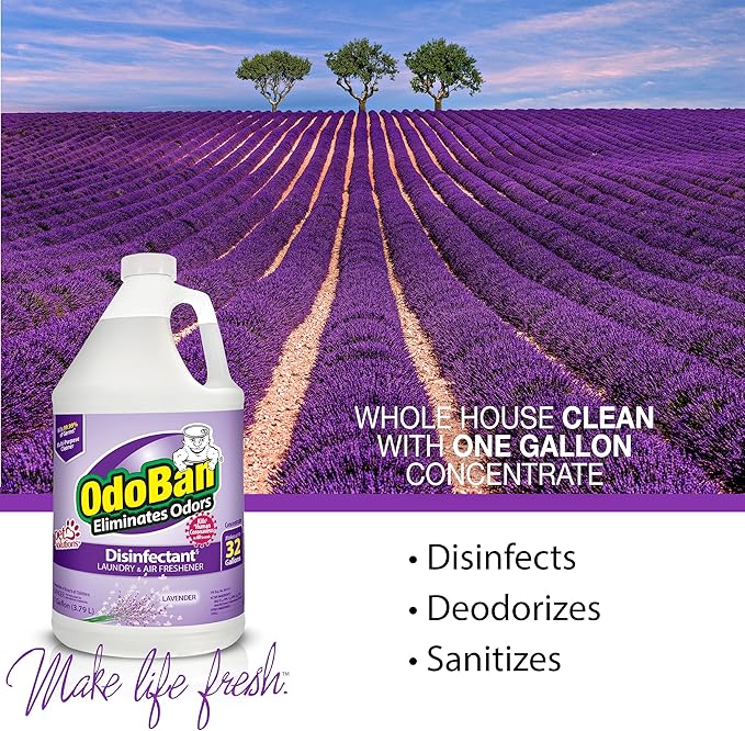 OdoBan Ready-to-Use Disinfectant and Odor Eliminator, Made in the USA, Lavender Scent, Set of 3, 2 Spray Bottles, 32 Ounces Each and 1 Gallon Concentrate